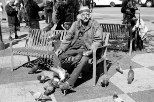 San Francisco, Pigion man